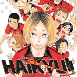 Haikyu!! vol. 4 (Viz Media)