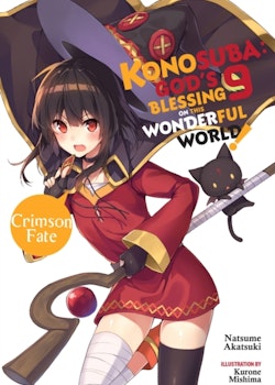Konosuba: God's Blessing on This Wonderful World! Light Novel vol. 9 (Yen Press)