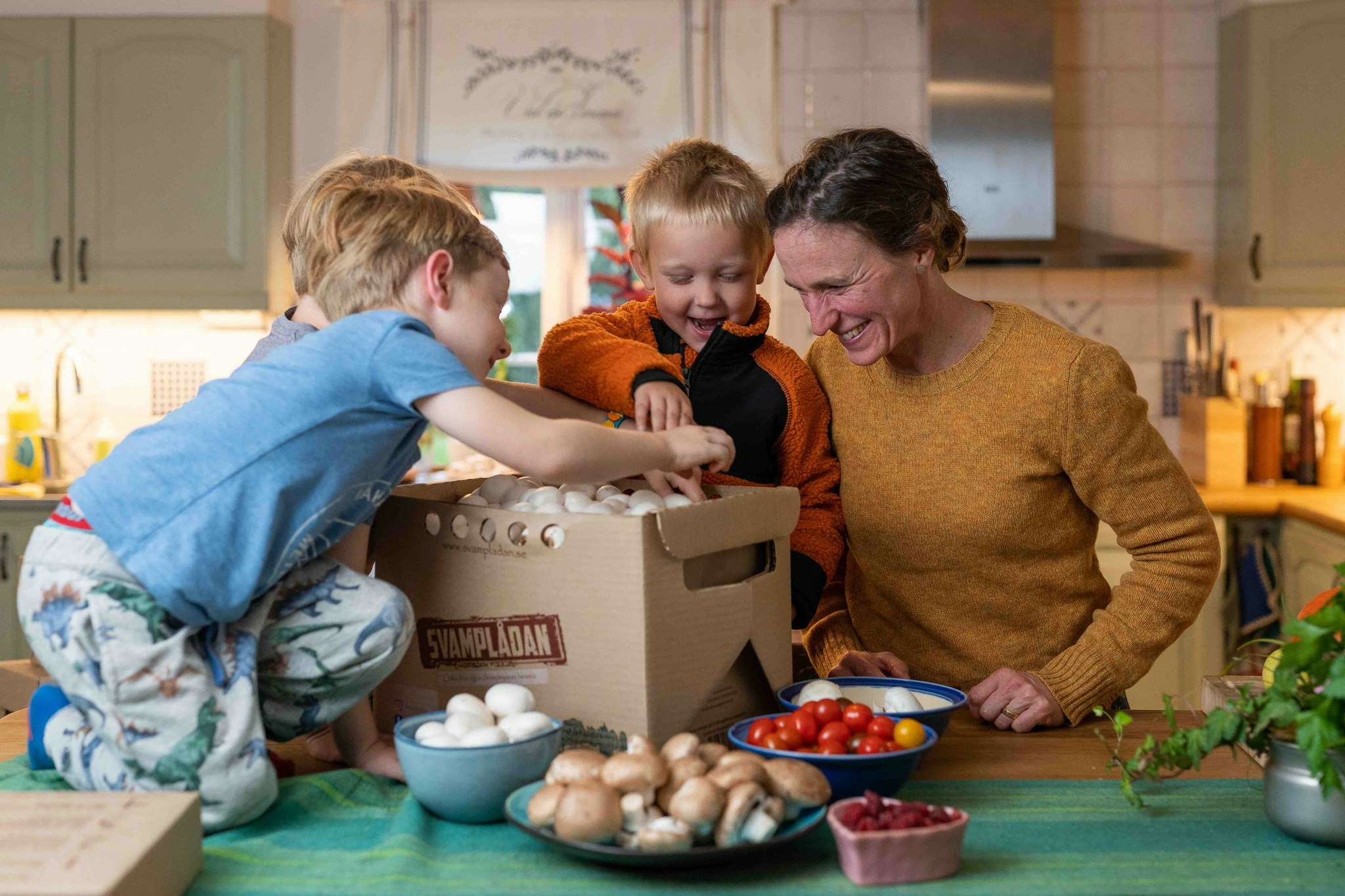 Presentkort Stor Svamplåda