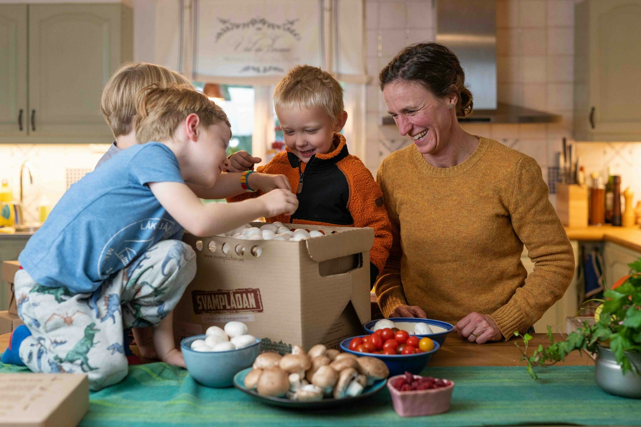 Presentkort Liten Svamplåda