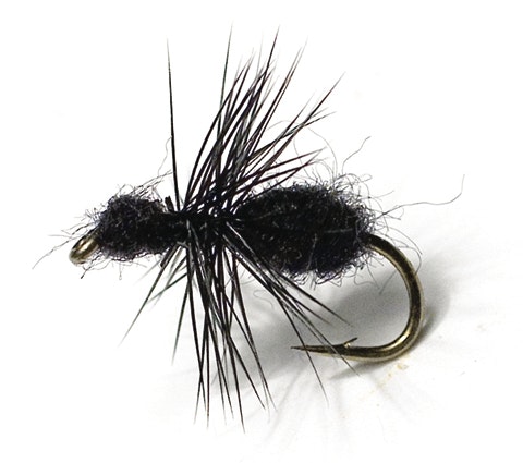 Black Ant TMC 100 #16