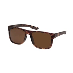 Kinetic Tampa Bay Polarized Brown