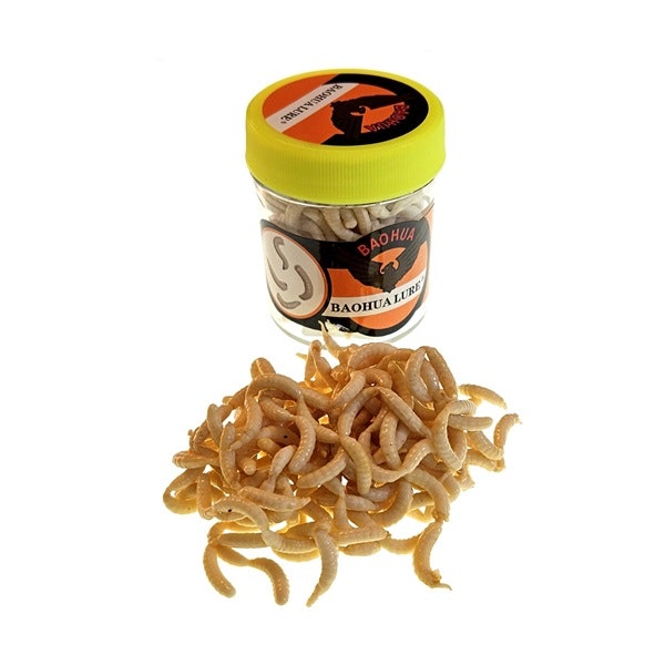 Baohua konstbete - Maggot Vit