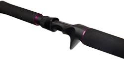 Mikado Bixlite Pike Master 240 c.w. 30-105g (2 sec.)