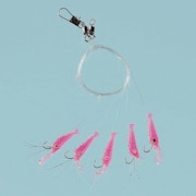 Living shrimp 5 hooks
