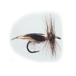 E12 Swedish Model #12