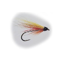 Mickey Finn #8