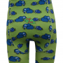 Strumpbyxor barn gröna med blå elefanter roliga barnkläder
