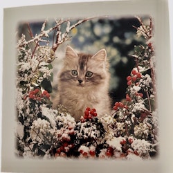 Julkort med söt katt - 15st