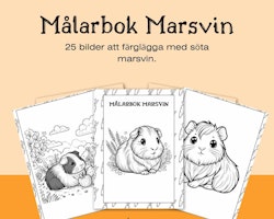 Målarbok Marsvin - 25 sidor