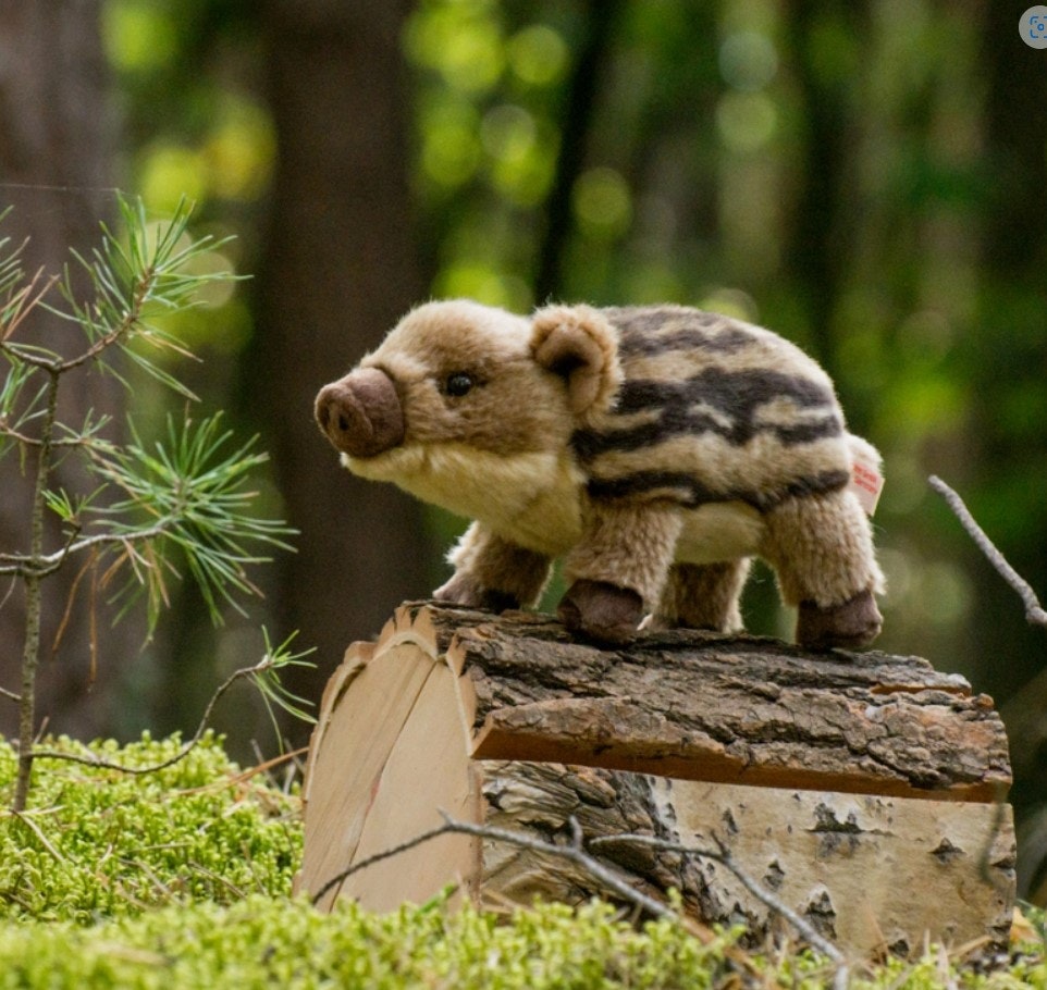 Mjukisdjur Gosedjur Vildsvin baby 22cm Teddy Hermann