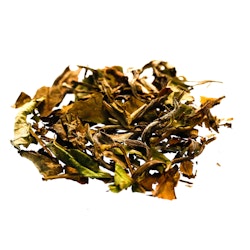 Organic Pai Mu Tan China Fujian