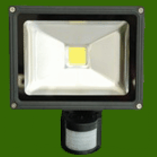 Åtelbelysning Grönt ljus LED, 30W 12V DC Med Rörelsevakt