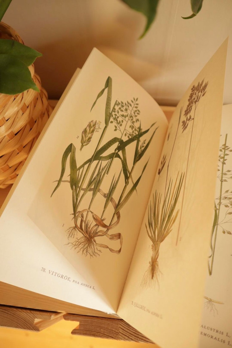 Nordens Flora 2