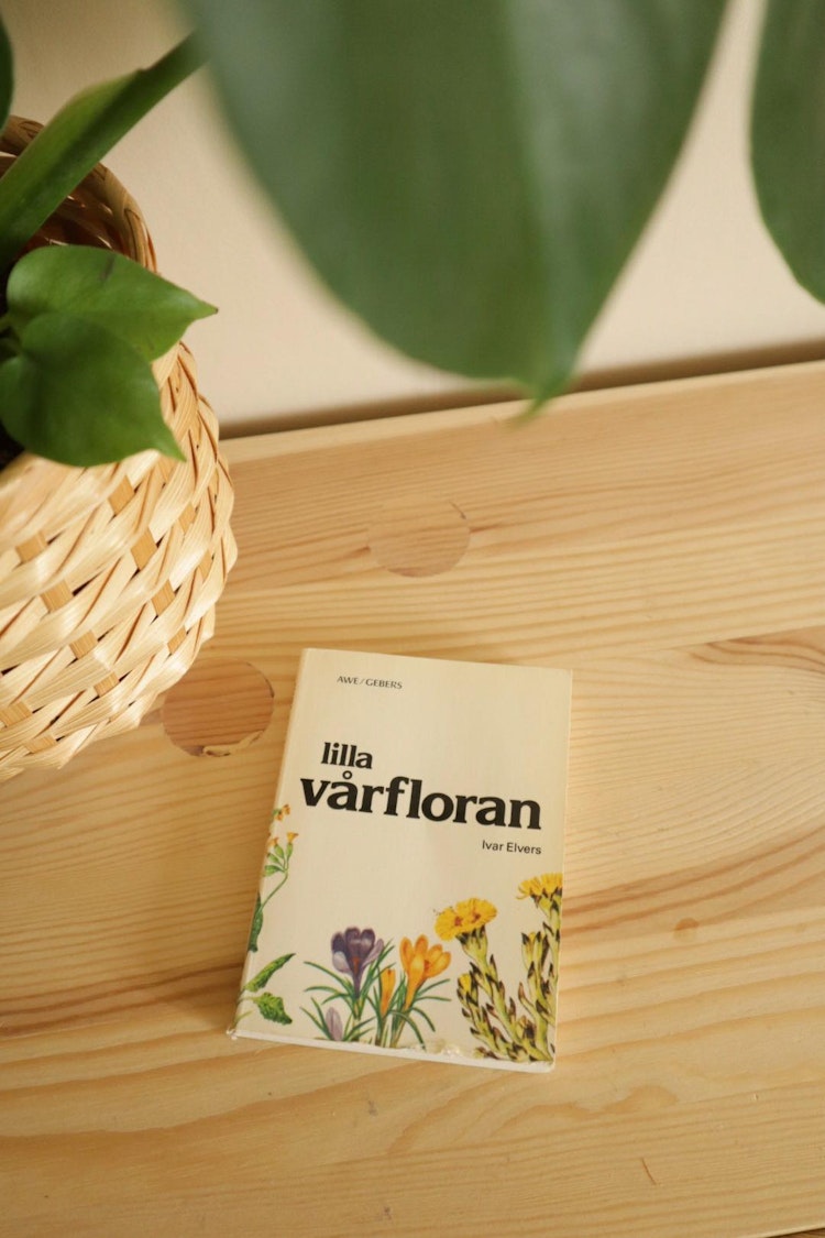 Lilla vårfloran