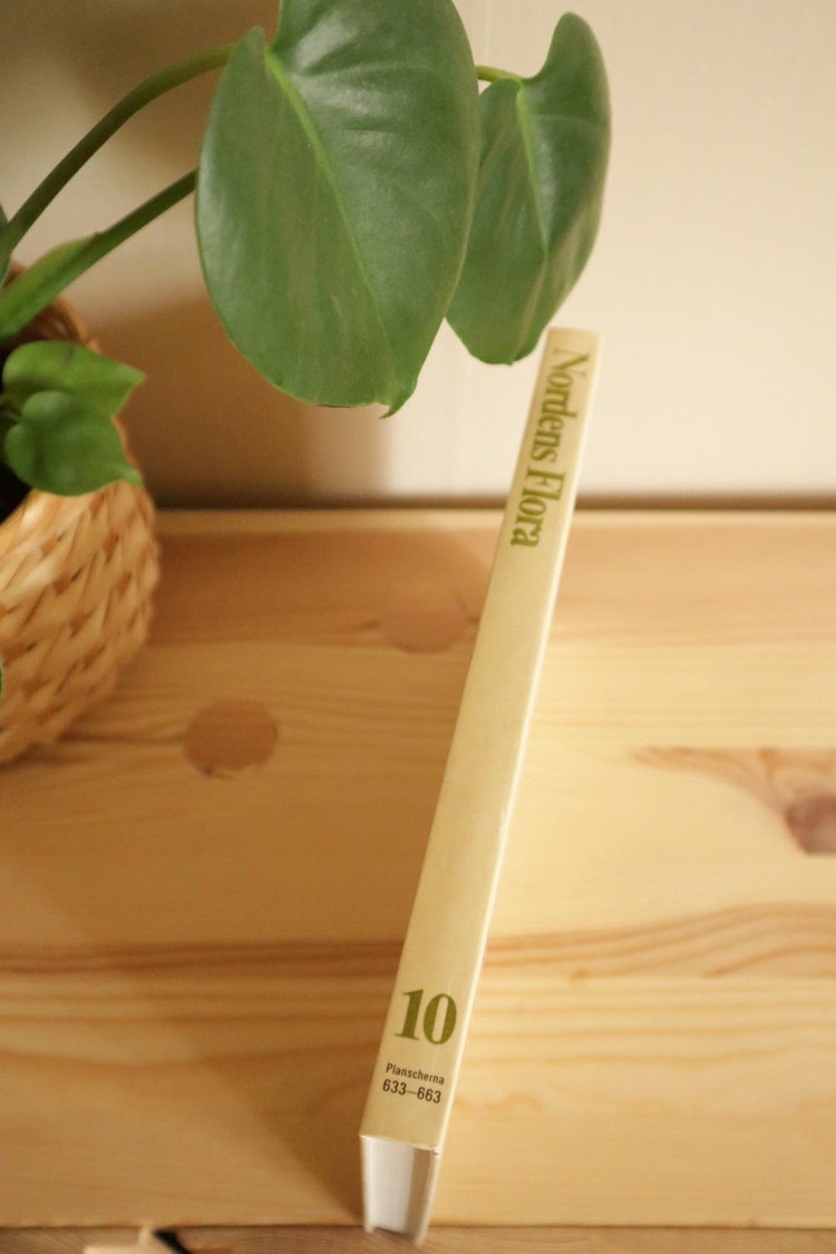 Nordens flora 10