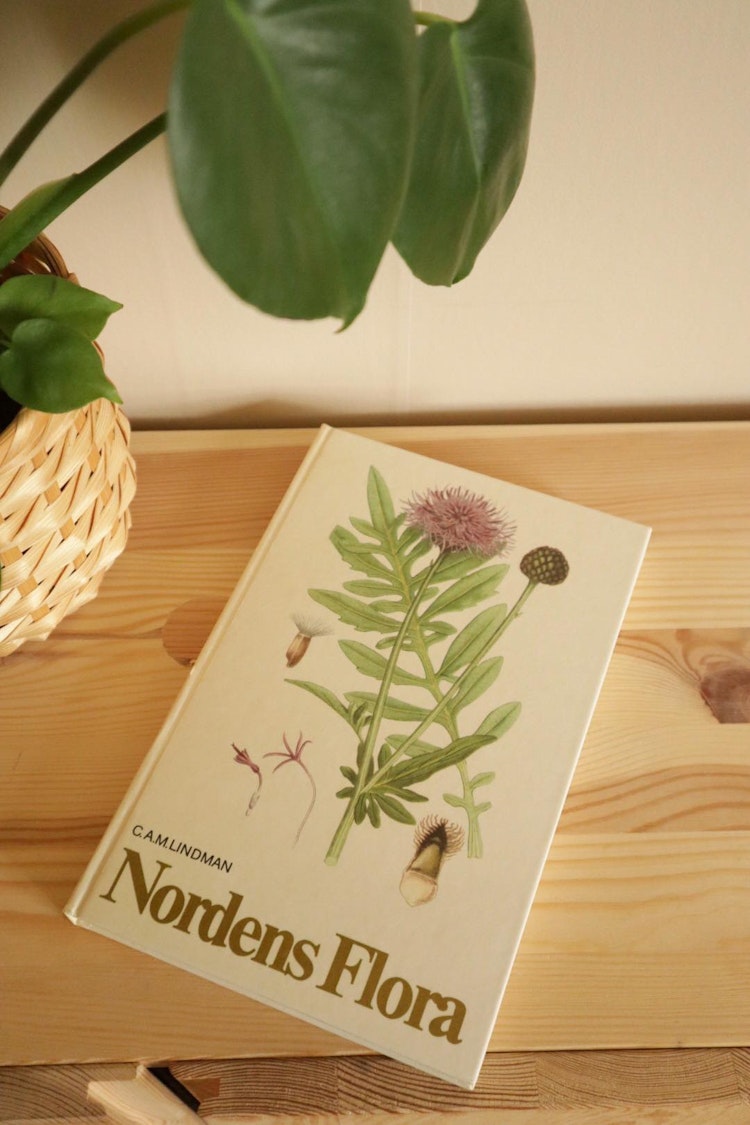 Nordens flora 10