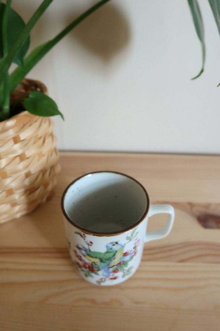 Mugg med fåglar