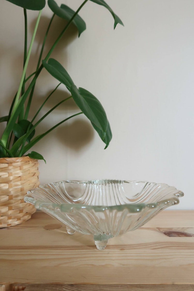 Stor snäckskål i glas