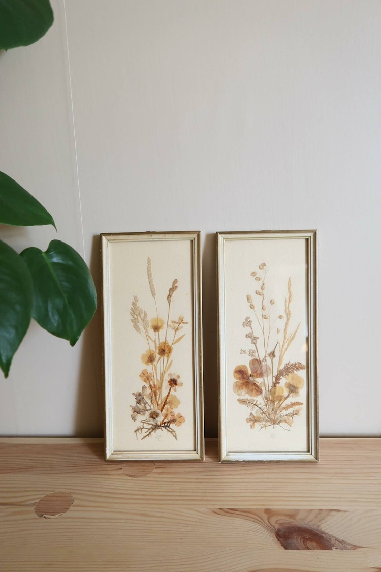 Två tavlor med torkade blommor