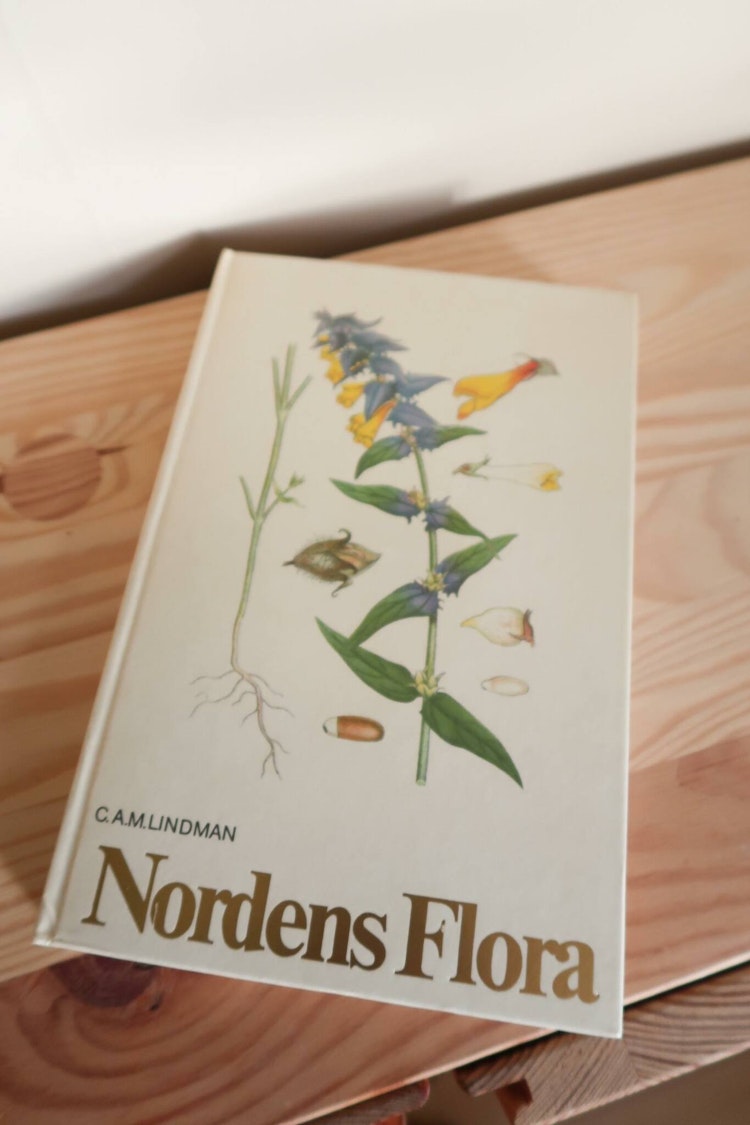 Nordens flora 8