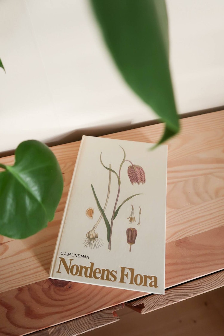 Nordens flora 1