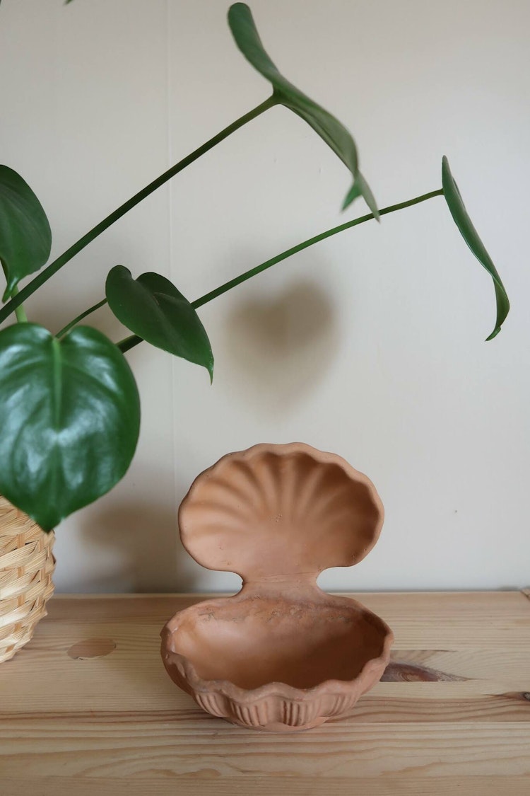 Italiensk terracotta snäcka