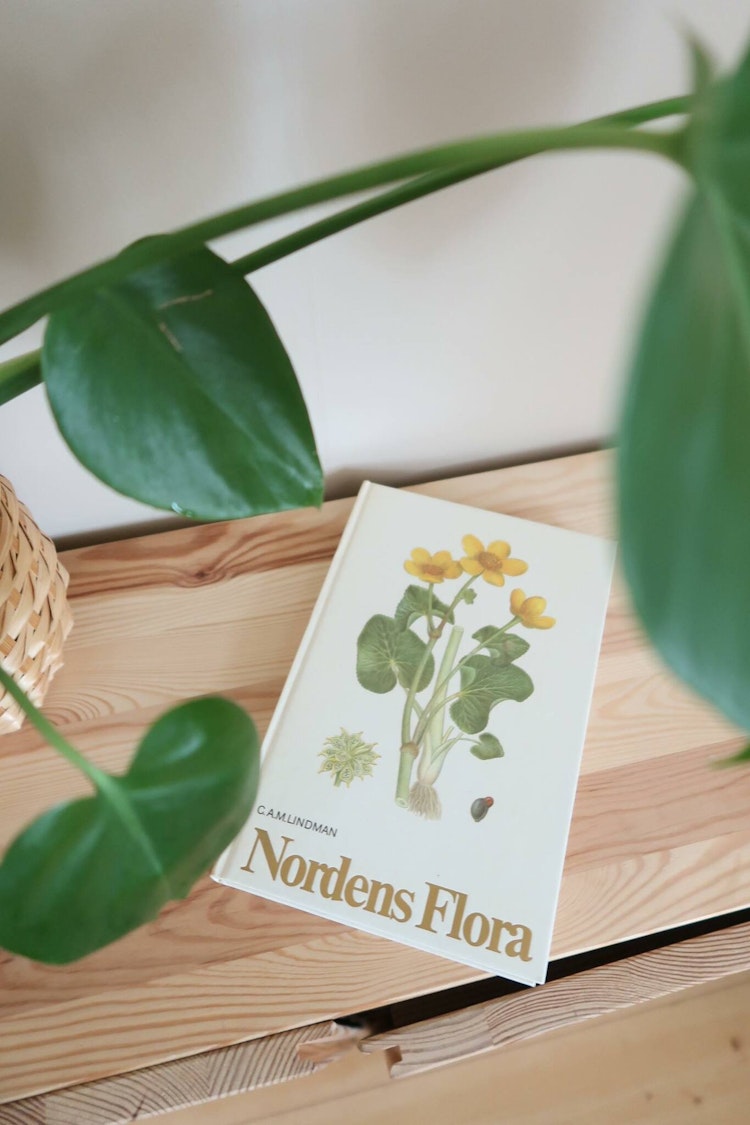 Nordens flora bok 4