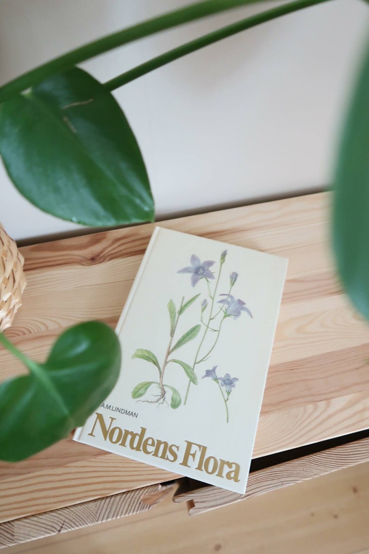 Nordens Flora bok 9