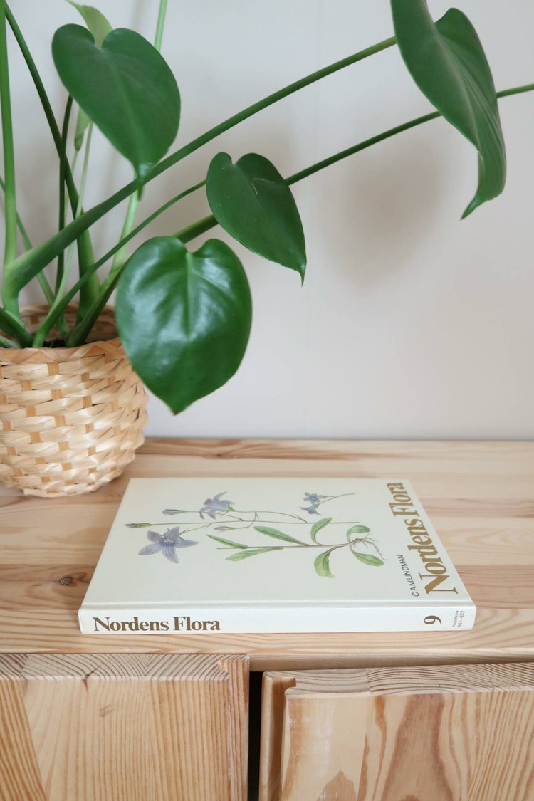 Nordens Flora bok 9