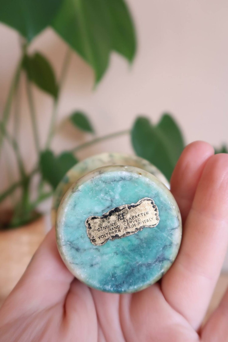 Svamp i Alabaster