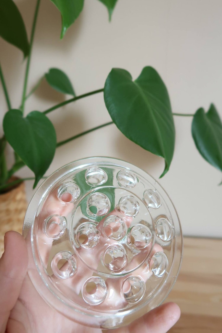 Blomsterfakir till skål