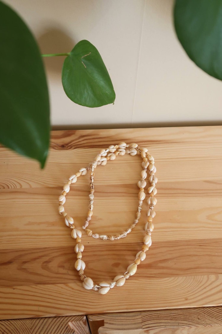 Snäckhalsband