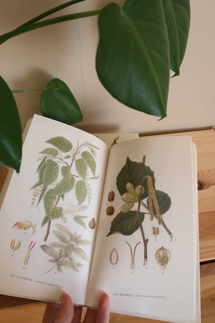 Nordens Flora 1,2,3