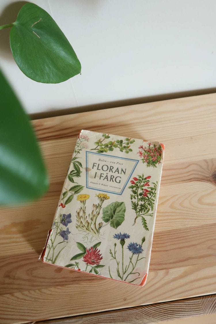 Flora i färg