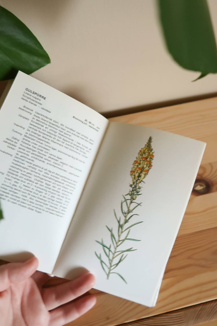 Hälsoflora Örtmedicin med Recept, dosering, skördetid