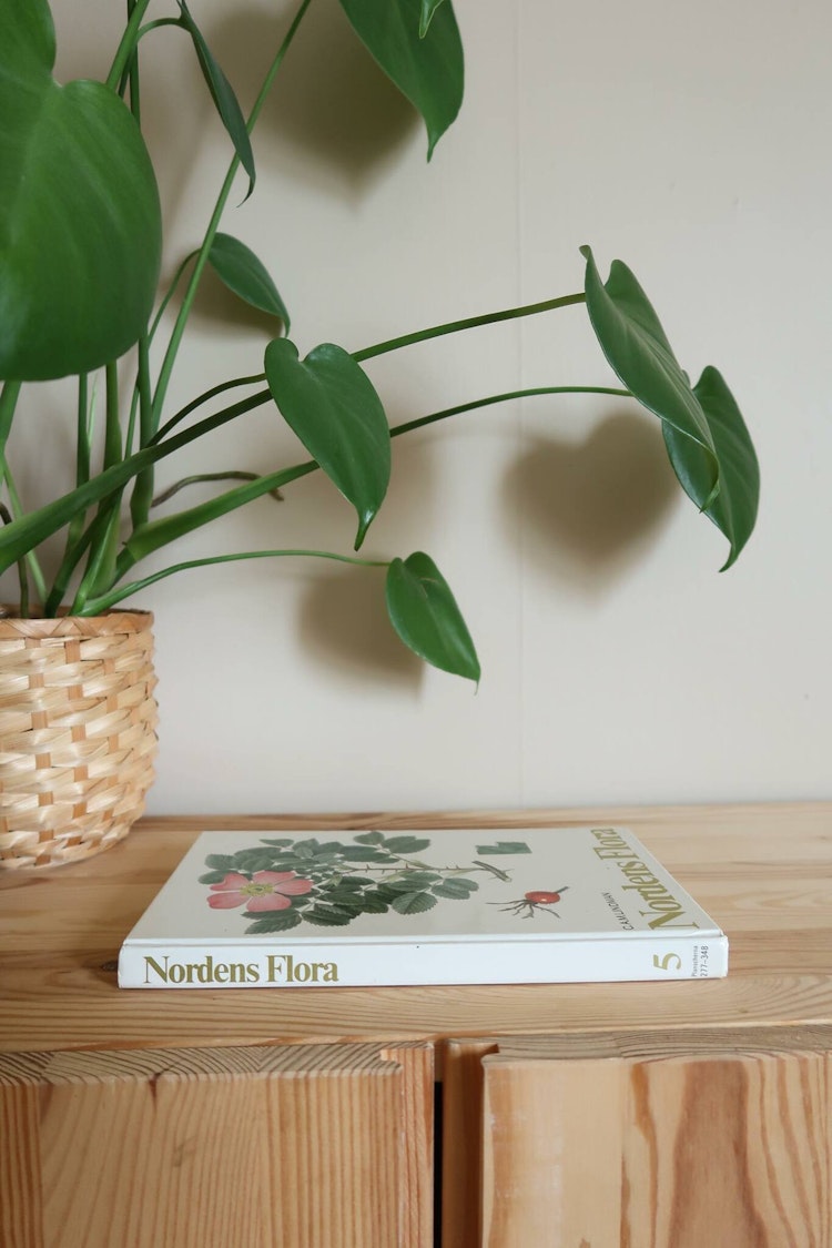 Nordens Flora 5