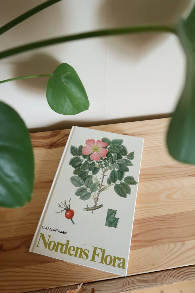 Nordens Flora 5