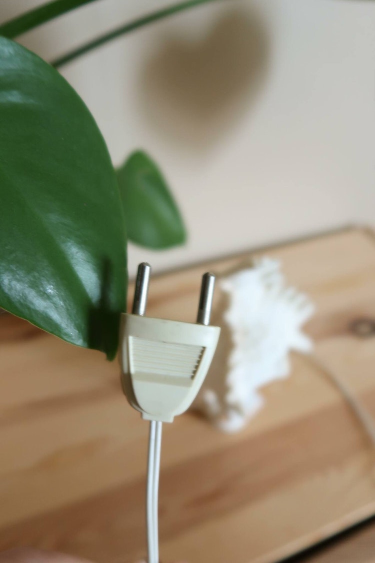 Liten snäcklampa
