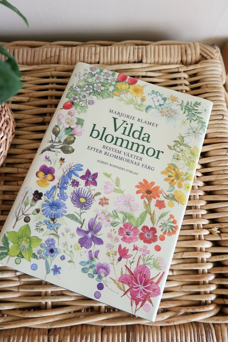 Vilda blommor