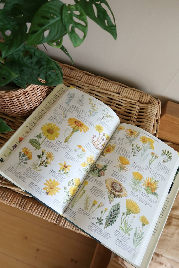 Vilda blommor