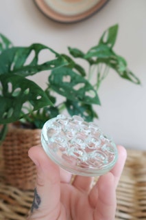 Blomsterfakir i glas