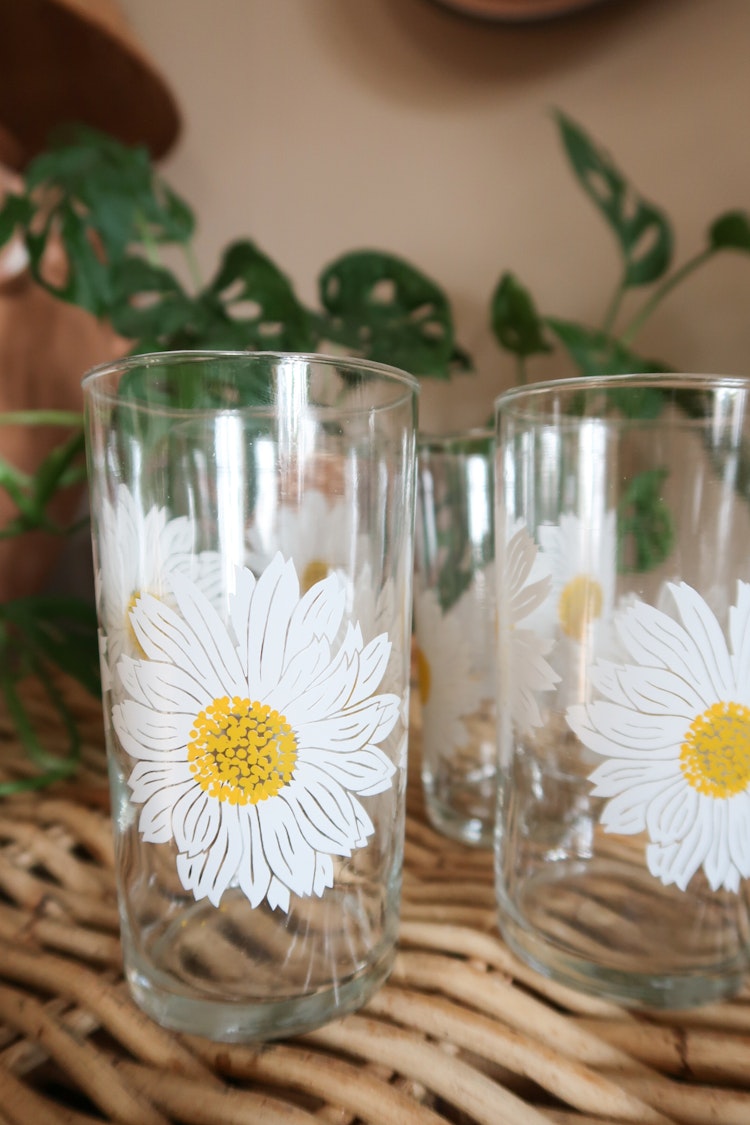 Fyra engelska glas med prästkrage
