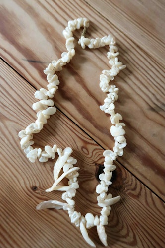 Snäckhalsband