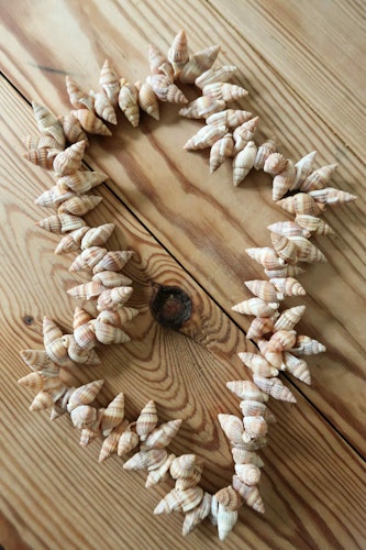 Snäckhalsband
