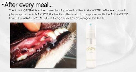 ALMA Dental Starter - Alma Diamond+Alma Crystal
