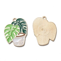 Planta, Berlock, 2st
