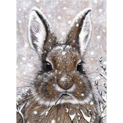 Diamond Painting Canvas, Kanin, 20x30cm