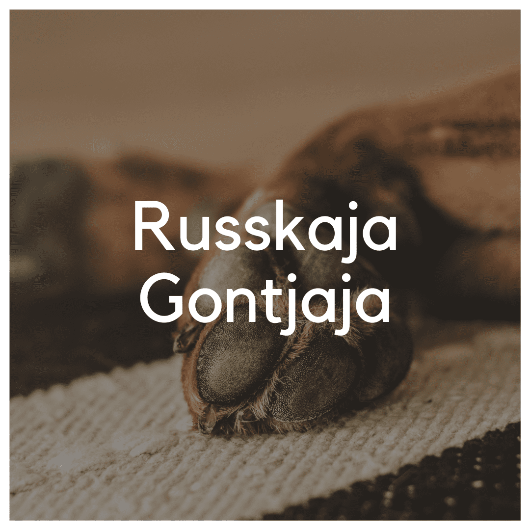 Russkaja Gontjata - Liwa Design