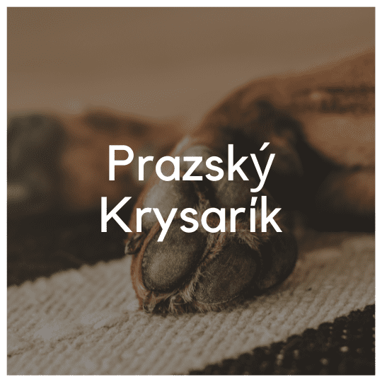 Prazský Krysarík - Liwa Design